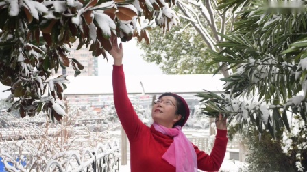 2019年2月8日石城南京正月初四下了一场大雪，南京张霞戏雪抖嗡留下美好瞬间。
